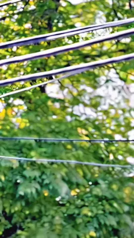 #CapCut #LIKE 🫶 TRENDING ❤️‍🔥👉🏻 ”UNFREEZE ACCOUNT “ 👈🏻 🔥  #100kviews #trending #templatecapcut    