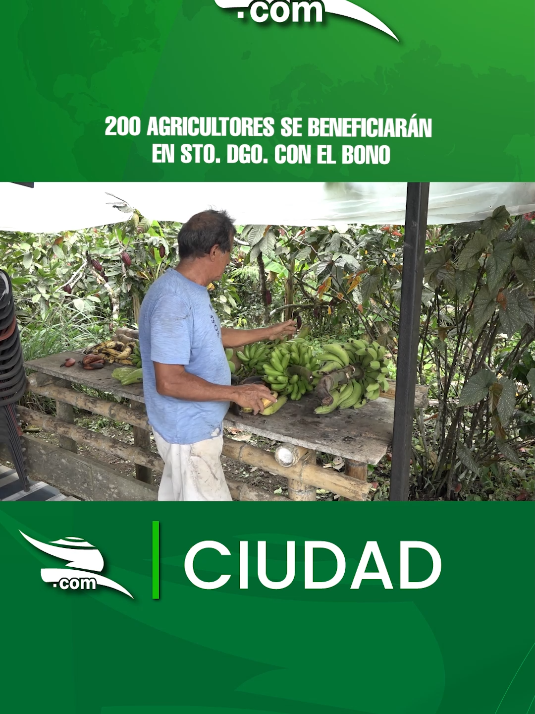 #ZaracayNoticias Desde el 23 de septiembre se comenzó a entregar por parte del Gobierno Central, mediante el Ban Ecuador, bonos de mil dólares para el sector agrícola del país. En Santo Domingo de los Tsáchilas, 200 personas serán beneficiadas con este incentivo. Conozca en la siguiente nota cuáles son los requisitos.