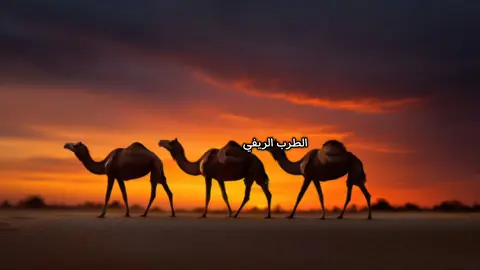 نزل سوگ الطرب من مات ابن نوماس #مرتضى_نوماس  #رحمك_الله_يبو_حميد 