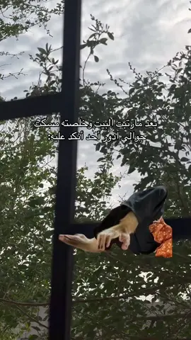 #Meme #MemeCut 