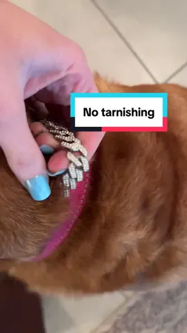 Replying to @AZ_Lightning_Survivor Not tarnished at all! ❤️ #dognecklace 