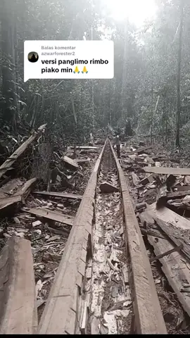 Membalas @azwarforester2 Next? #panglimorimbopiako #pacujalurmenyapadunia #pacujalurmendunia #aurafarming #pacujalurkuantansingingi 
