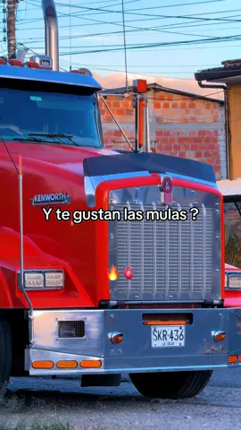#kenwortht800 #mulascolombianas 