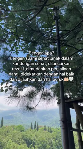 #masyallahtabarakallah #allahummashollialasayyidinamuhammad #pejuanggarisdua #bumil #bumilhappy 