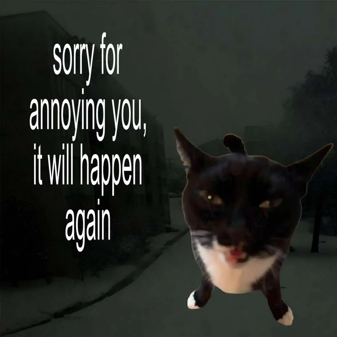 #relatable #relatablecontent #lovecore 