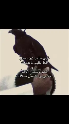 #foryoupage #B #fypage #طير #b 