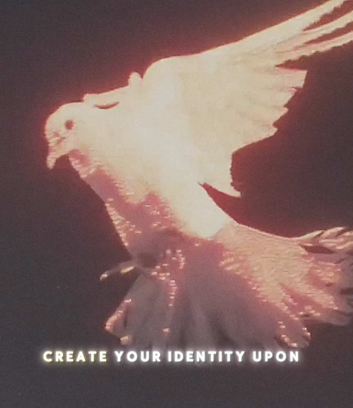 Do not drown in the depths of your flaws. Build above them, step forward, and let your true identity be shaped by truth, not by the rubble beneath you. . . #fyp #spirituality #islam #poetry #soul 