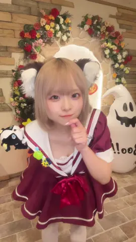尻尾ふりふりしてみた #にぎにじダンス #にぎにぎにじたうん #メイドカフェ #コンカフェ #秋葉原コンカフェ 