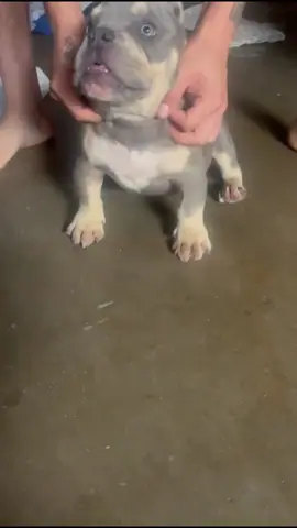 #LIVEIncentiveProgram #LIVEStory #PaidPartnership 