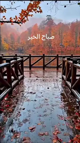 #صباح الخير 