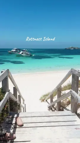 crystal clearwaters and the best beaches 🦜🌊 ##rottnestisland##parakeetbay##perth##westernaustralia##Australia