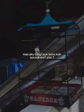 wes mboh  #CapCut #kenarisejakdini #peternakkenariindonesia #kenarimaniaindonesia #CapCut 