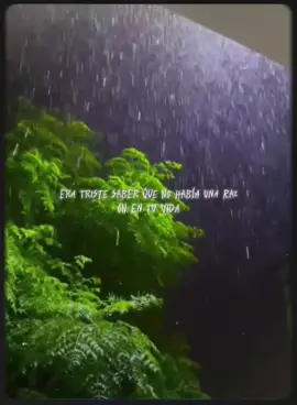 #diomedesdiaz #vallenatosparadedicar #ilusionesdiomedesdiaz #letrasdecanciones🎧🎶 #diomedesdiazoficial 