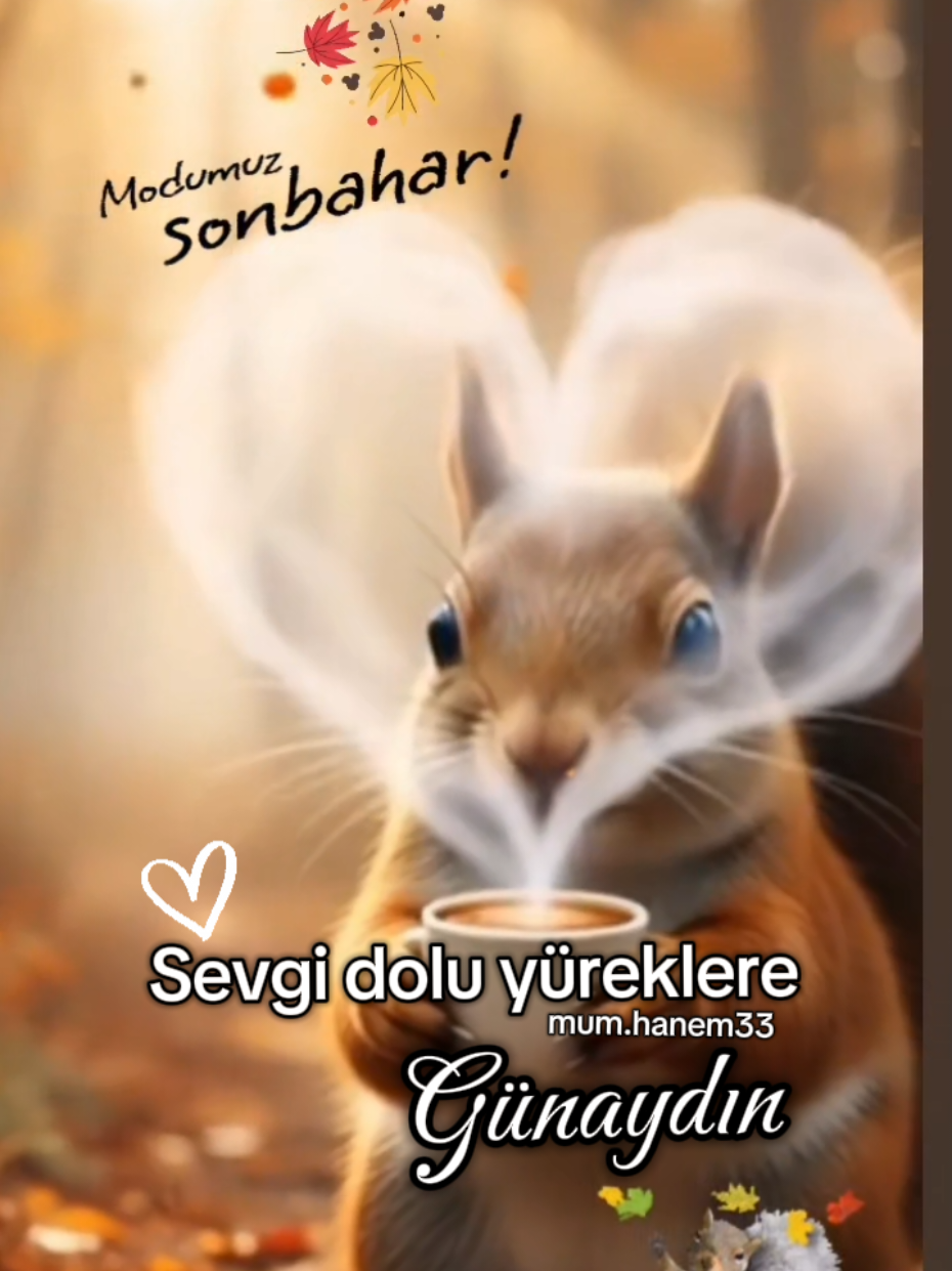 #günaydın #hayırlısabahlar #günaydın_hayırlı_sabahlar #günaydınmesajı #mumhanem33 