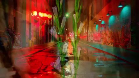 Where Is My Mind. . #lyrics #songviral #music#pixies#whereismymind 