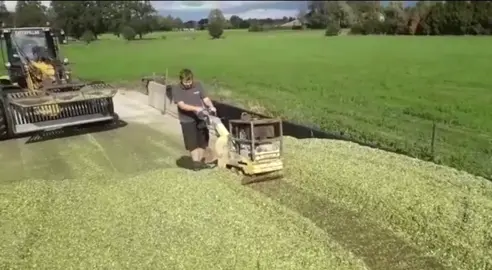 Silo verdichten 2.0 #rüttelplatte #spaß #mais #fyp #spaßbeiderarbeit🤣🤣🤣🤣👍🤣😅😆🤩😍🥰 