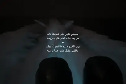 حبيبتي قلبي على شوفتك ذاب .#فلاح_المسردي #fyp #tiktok #roblox #explore 