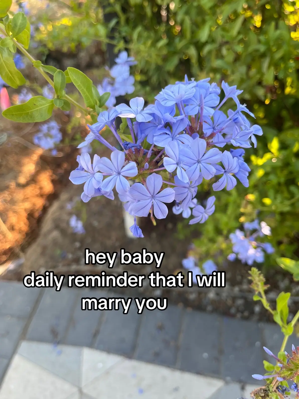 #her #girlfriend #ilovemygf #Relationship #iloveher