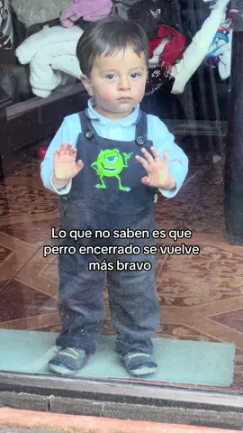 #paratii #viral #humor 
