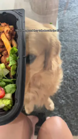 …. #foryou  #greedy #trending #dogtok #dog 