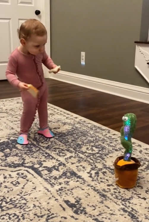 Baby's reaction to seeing a cactus toy🤣🤣#foryou #baby #cute #funny #funny videos #fyp #tiktok #usa🇺🇸 