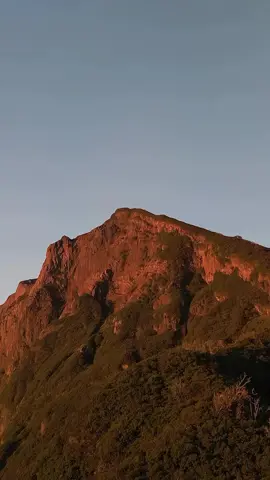 TRIP MT. RAUNG 3344 MDPL VIA KALIBARU Yuk Me-RAUNG bareng :  @raung.jejakpakeko  DATE : 🗓 Cek Postingan Yang Kita Sematkan🔥 NOTE : • Buy 8 pax free 1 pax • 1 orang bisa join Open / Private Trip 💰 Paket A IDR 399.000 / orang Mepo : Basecamp Fasilitas : 🔻Guide Lokal 🔻Alat Climbing  🔻Gantungan Kunci Gn. Raung  🔻Wisata Air Terjun Tirto Kemanten  🔻P3K Standart 🔻Uang Jaminan Sampah 🔻Sertifikat Pendakian  🔻Uang Basecamp 💰 Paket B IDR 729.000 / orang Mepo : Stasiun Kalibaru Fasilitas : 🔻Guide Lokal 🔻Alat Climbing  🔻Simaksi ( Tiket Masuk ) 🔻Mug Enamel Gn. Raung 🔻Ojek ( stasiun-Basecamp ) 🔻Ojek (Basecamp-POS 1) PP 🔻Porter Air Tim  🔻Makan 2x ( Di Basecamp dan Nasi Bungkus ) 🔻Wisata Air Terjun Tirto Kemanten 🔻P3K Standart 🔻Uang Jaminan Sampah 🔻Sertifikat Pendakian 🔻Uang Basecamp 💰 Paket Private / Full Service IDR 1.999.000/ jika ada 3 org  ( Harga Bisa Berkurang Jika Ada Tambahan Peserta ) Fasilitas : 🔻Guide Lokal 🔻Alat Climbing 🔻Simaksi ( Tiket Masuk ) 🔻T-Shirt Gn. Raung 🔻Ojek PP ( Kalibaru - Basecamp )  🔻Ojek PP ( Basecamp - Pos 1 ) 🔻Porter Air  🔻Porter Barang  🔻Logistik dan Makan Selama Pendakian 🔻Tenda dan Alat masak 🔻Wisata Air Terjun Tirto Kemanten 🔻P3K Standart 🔻Uang Jaminan Sampah 🔻Sertifikat Pendakian 🔻Uang Basecamp NB :  1. Khusus Paket A dan Paket B bisa ekstra makan selama digunung dan tenda 2. Semua harga fleksible tergantung total peserta di tanggal keberangkatan 3. Tanggal bisa request dengan syarat dalam satu tim minimal ada 5 orang  Harga Tiket, Ojek dan Porter • Tiket Masuk Kawasan 60k • Ojek 1x Jalan 55k • Porter Air 15 Liter 350k • Porter Drop Barang 400k • Porter Harian 250k #opentripraung #raungjejakpakeko #raung_jejakpakeko #mountains #pendakifomo 