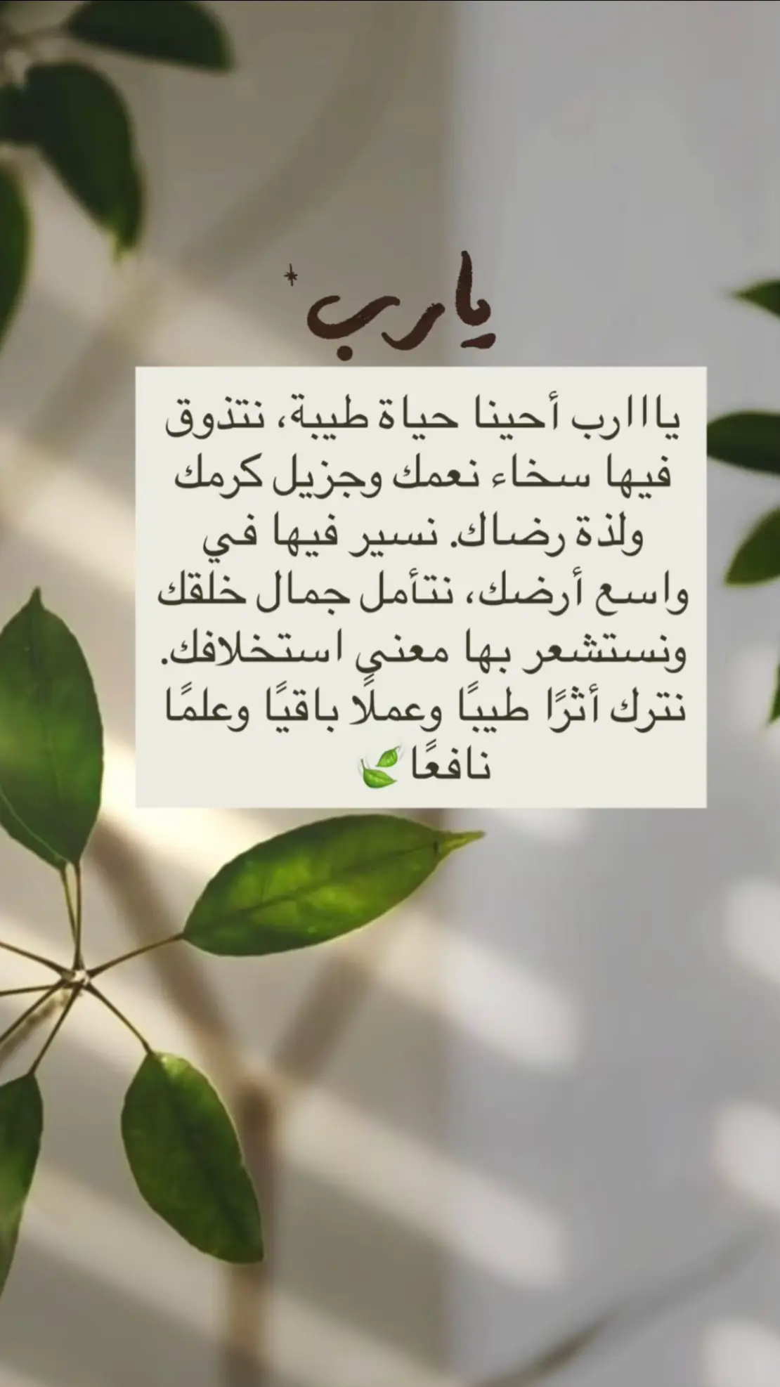 #explor #يارب #اكسبلور #جديد #دعاء 