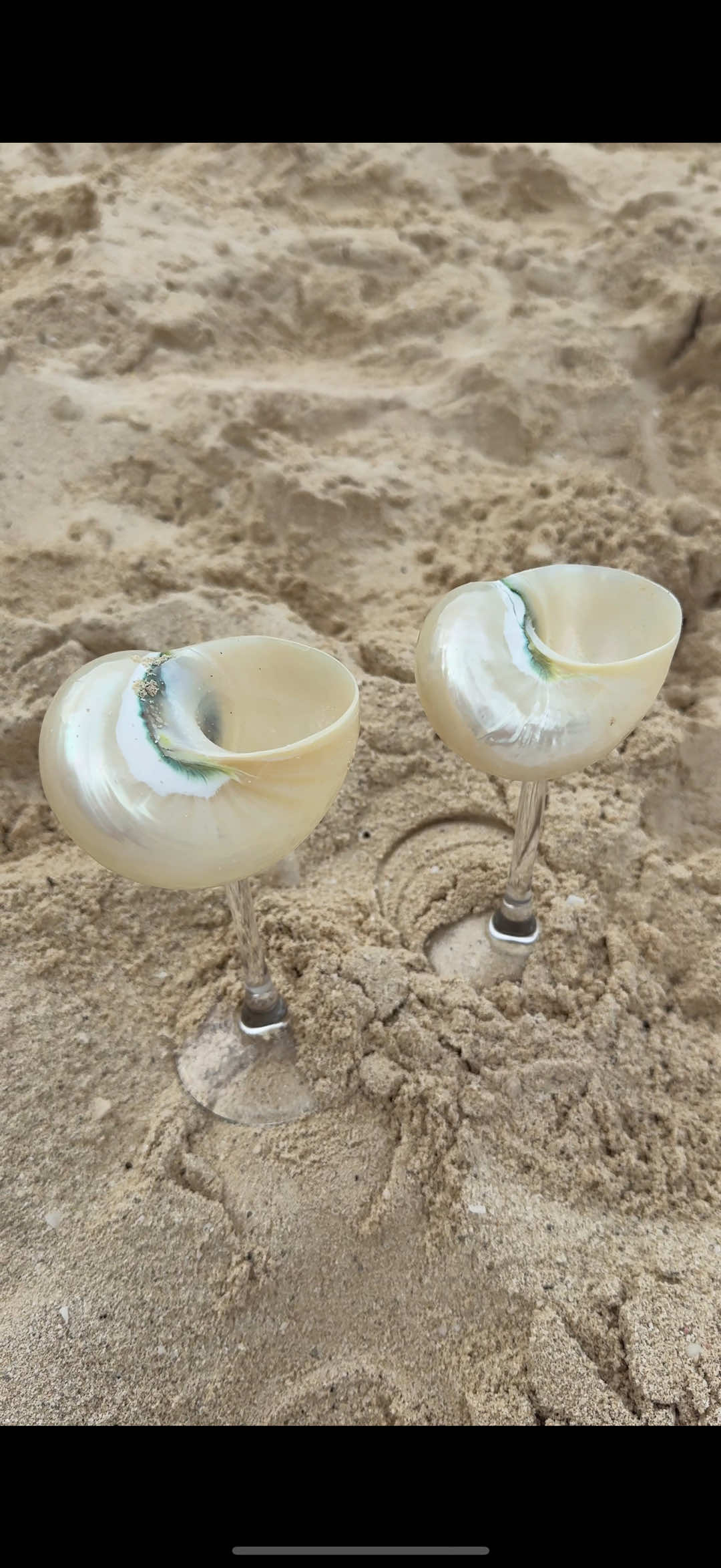 Baby no. 2 is a 🤍🪿🐚 loved our intimate gender reveal #intimategenderreveal #genderreveal #aestheticgenderreveal #beachgenderreavel 