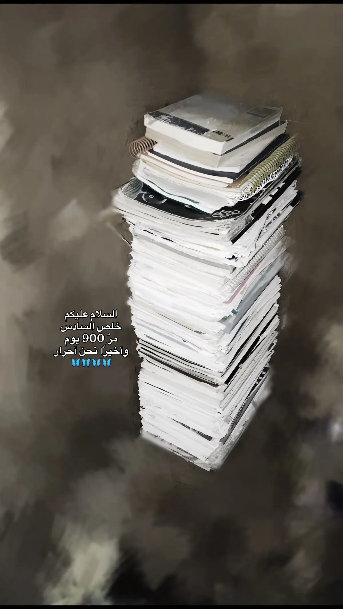 #تيك #مشاهير_تيك_توك #كاب_كات #سادس #جامعة 