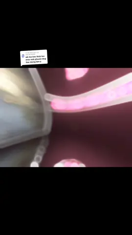 Trả lời @neej.toj.siab36 Phần 102 MUSIC H'MÔNG: LUB NCAU TSIS HAIS LUB SIAB MOB MOB #hmongfyp #hmongtiktok #xuhuonghmoob #YangLiab💝 #hmongusa🇺🇸 @CIA luag mam hlub @cia luag mam hlub🥹 @kevhlubvjmkoj @kevhlubvimtxoj371 