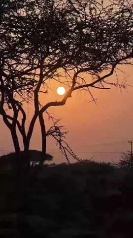 #عبدالله_القصير #المغامسي 