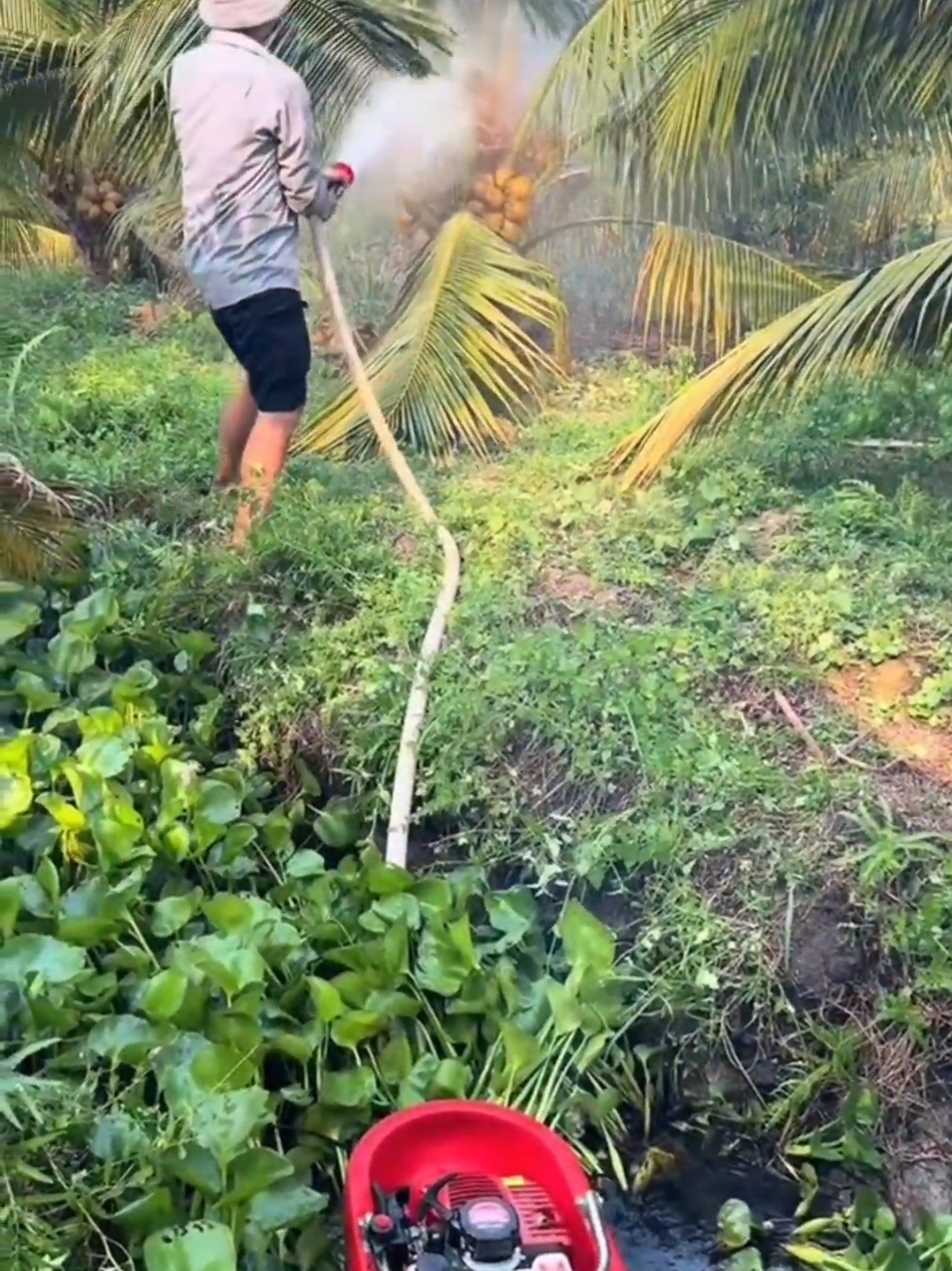 Pompa Air Bensin Terapung #mesinpompa #pompaair 