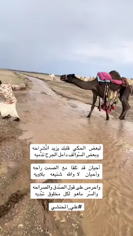 #شعراء_وذواقين_الشعر_الشعبي 