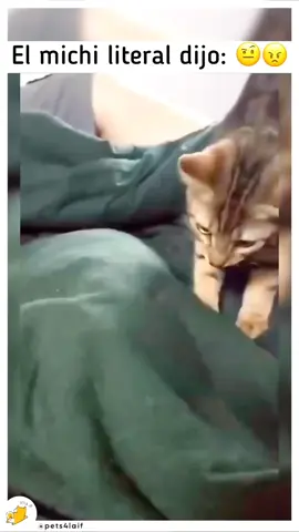 #amigos #Fyp #ilikeyou créditos a quien corresponda 