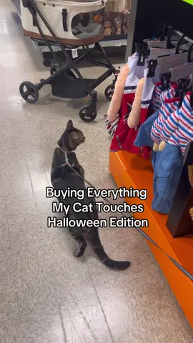 He clearly doesn’t take “no” for an answer 😂