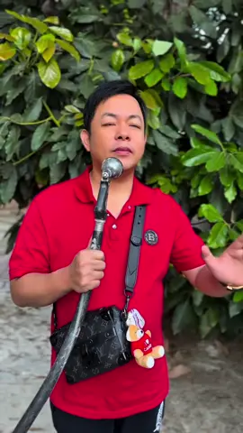 Mong đợi từ bao lâu, giờ em chết nơi đâu?  #QuangLe  #bolero  #quangledulich