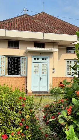 saat jalan jalan pagi, lagi lagi mendapati sebuah rumah lawas cantik di Purwokerto, vibes nya sama sekali tidak menyeramkan, dengan aneka tumbuhan di halaman menambah keasrian dari rumah ini. #purwokerto #purwokertoviral #rumahbelanda #purwokerto24jam #fyp 