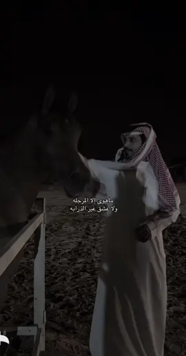 #عمر_بن_هذال #ترند #اكسبلور؟ #اكسبلورexplore #مشاهير 