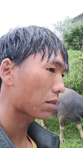 không đi cùng nhau những ngày mưa, thì đừng tìn nhau những ngày nắng #tiktokviral #xuhuong #xuhướng #fyp 