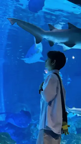 ikannya peka bnget 🫠 #foryou #4upage #xbcyza #jepang🇯🇵 #vibes 