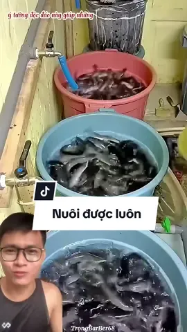 Thế mà cũng nuôi được cá #farming #nongnghiep #sonasmr 