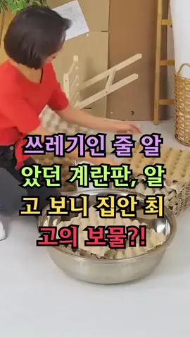 쓰레기인 줄 알았던 계란판, 알고 보니 집안 최고의 보물?!  #건강정보 #청소비법  #생활꿀팁 #건강  #노인건강 