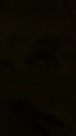 misi mencari abg sado😎 #CapCut 