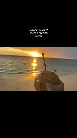 Misson to find a coconut was a success! 🥥 they didn’t have any at the night market but it made for a fun adventure trying to find one in time for sunset. And it WORKED. How do I get so lucky sometimes? #solotravel #rarotonga #cookislands #solotrip #luckygirlsyndrome 
