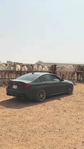 #fyp #fypシ #viral #foryoupage 