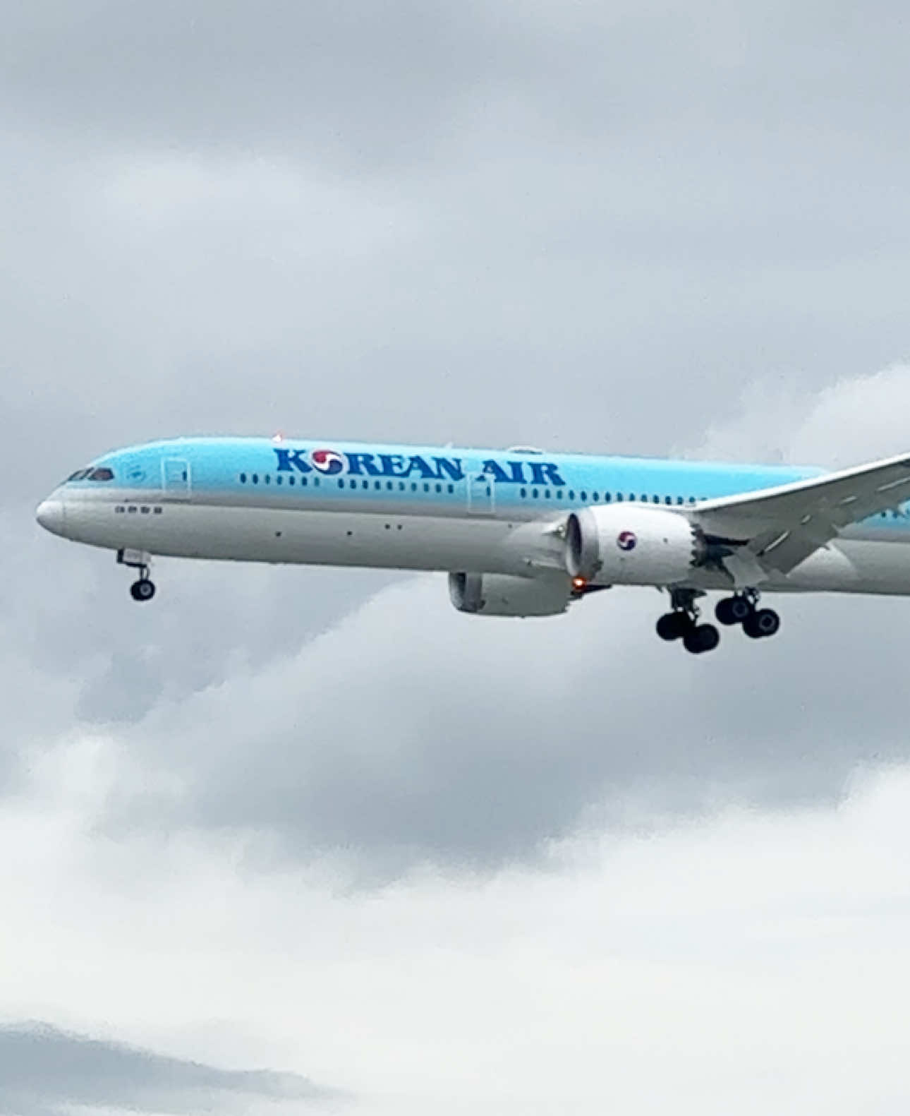 Lần đầu tiên Korean Air mang tàu bay thân rộng  Boeing 787-10 Dreamliner đến Tân Sơn Nhất từ Seoul trên chuyến bay KE469. Thông thường đường bay này sẽ sử dụng tàu bay A321neo hoặc A330 🇻🇳🇰🇷 #vietnam #maybay #aviationlovers 
