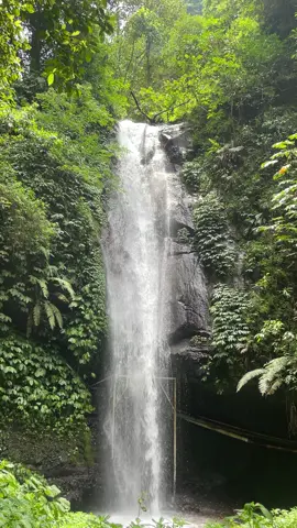 Salah satu air terjun tersembunyi di gunung kawi 📍Coban Luk Songo #gunungkawi #lerengkawi #fyp #malang #airterjun 