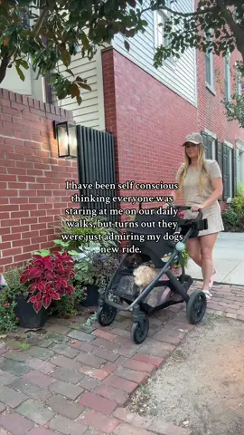 I don’t know who loves our walks more! This little dog loves his luxury rides in our @uppababy stroller. He is definitely the star of the show. #newmom #newmomlife #stroller #dogmom #momhumor @Hatch for Sleep @Momcozy Official @BIRKENSTOCK USA  
