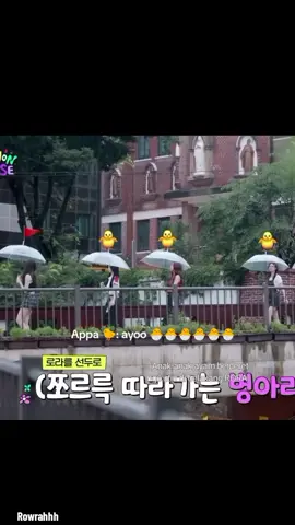 editor YG makin lawak bjirrr 🤣🤣🤣 #BAEMONHOUSEEPS4 #RORASA #RORA #ASA #BABYMONSTER 