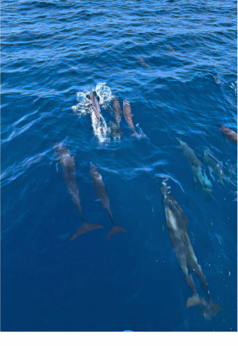 #fypage #tiktokviral #lewatfyp #pulaumaratua #nunukanislandresort 